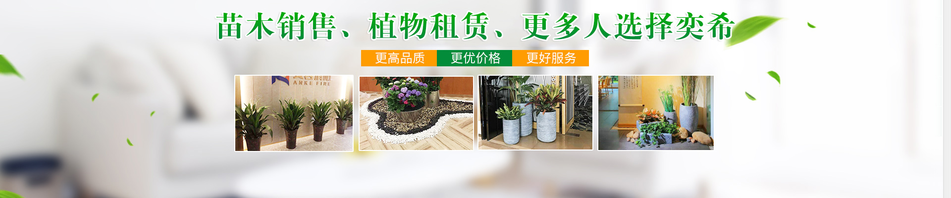 湖南奕希花卉园林有限责任公司_长沙花卉租赁|专业花卉租赁企业|盆栽花木销售|室外园林绿化